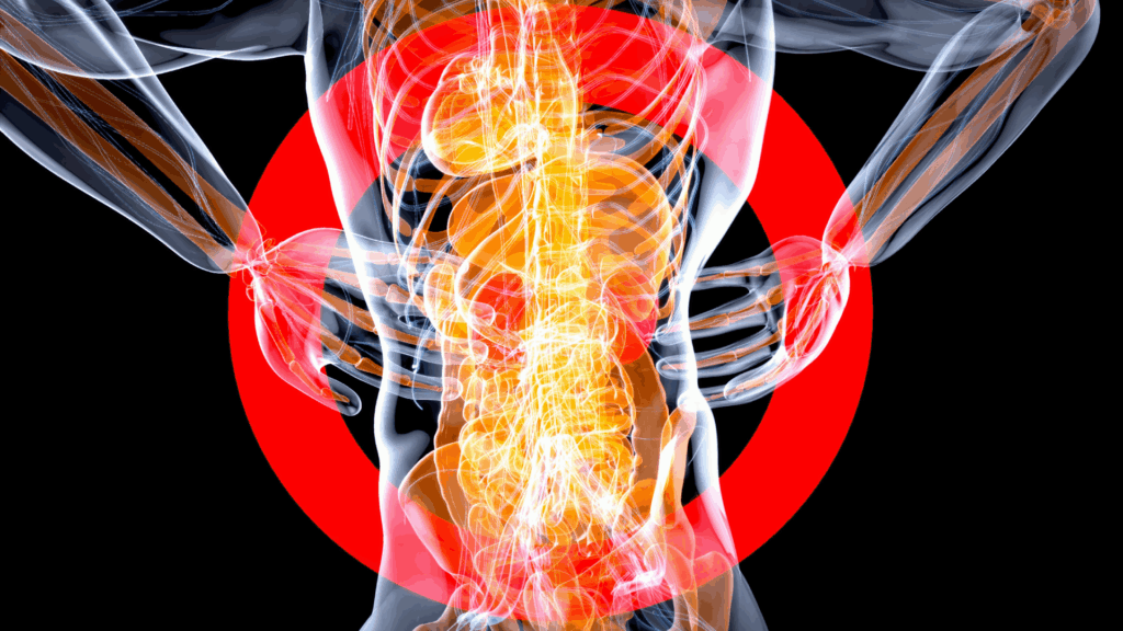 Julien Tromeur Q4vhspadcku Unsplash